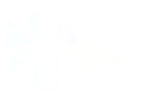 FL-Net Logo